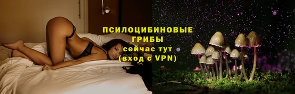 ГАЛЛЮЦИНОГЕННЫЕ ГРИБЫ Сафоново
